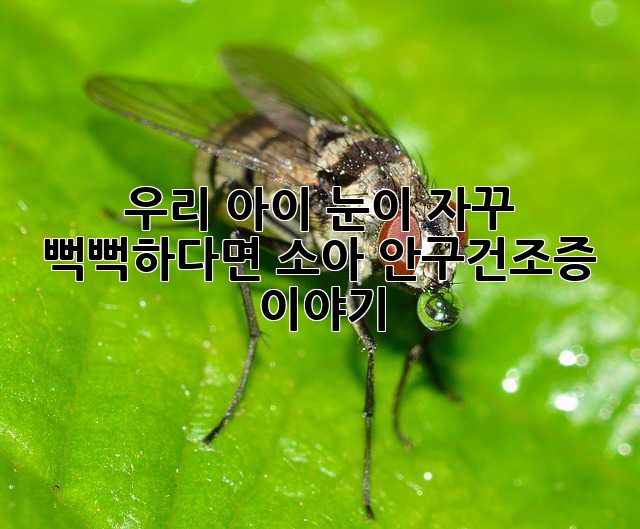 4032afd353bed026606951d35a6ed0ae.jpg