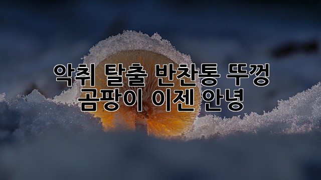 51cb209b5c7252da83a30fa51861f6e2.jpg