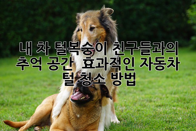 735c3faec76d06e4fd269d75e23a1e0a.jpg