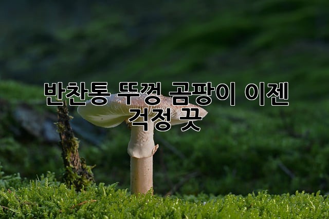 b58076ed054f72756ca583c4c0ced507.jpg