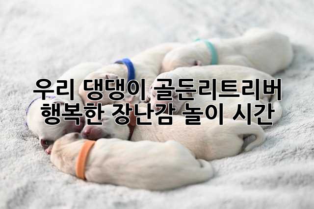 f63a8b703ae09c91929f1ece11e5d2d3.jpg