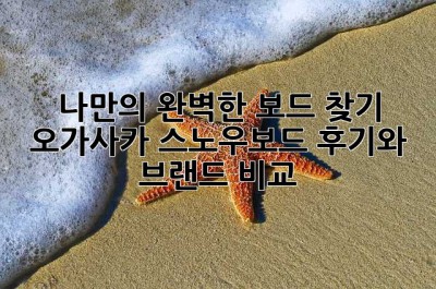 나만의 완벽한 보드 찾기: 오가사카 스노우보드 후기와 브랜드 비교