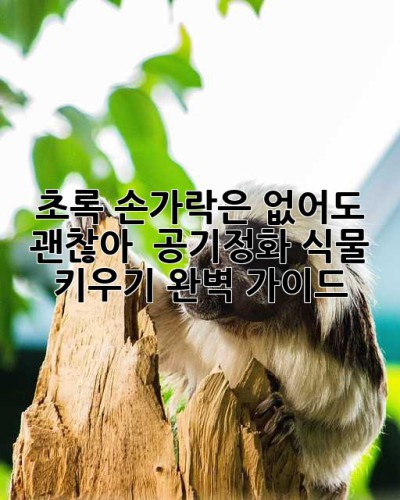 초록 손가락은 없어도 괜찮아! ✨ 공기정화 식물 키우기 완벽 가이드