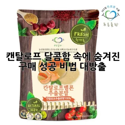 캔탈로프, 달콤함 속에 숨겨진 구매 성공 비법 대방출! 🍈✨