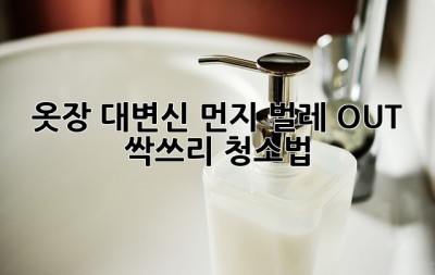 옷장 대변신✨ 먼지, 벌레 OUT! 싹쓰리 청소법