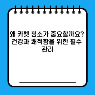 카펫 청소 완벽 가이드: 깨끗하고 건강한 집 만들기