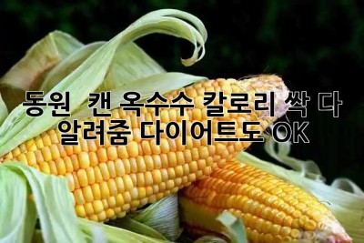 동원 🌽 캔 옥수수 칼로리 싹 다 알려줌! 다이어트도 OK 👌
