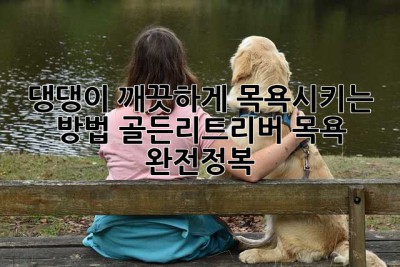 댕댕이 깨끗하게 목욕시키는 방법: 골든리트리버 목욕 완전정복!