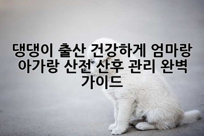 댕댕이 출산, 건강하게 엄마랑 아가랑! 산전, 산후 관리 완벽 가이드