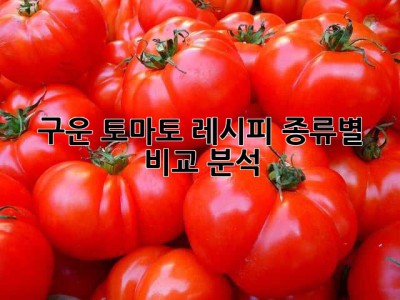 구운 토마토 레시피: 종류별 비교 분석