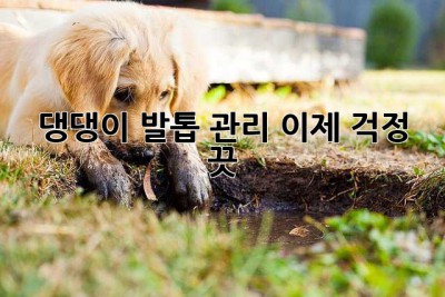 댕댕이 발톱 관리, 이제 걱정 끗! 🐾