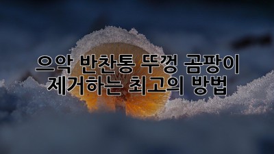 으악! 반찬통 뚜껑 곰팡이😱 제거하는 최고의 방법!