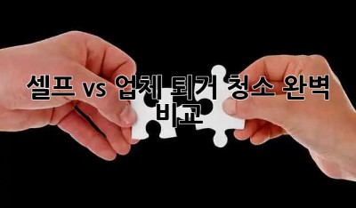 🏡 셀프 vs 업체, 퇴거 청소 완벽 비교! ✨