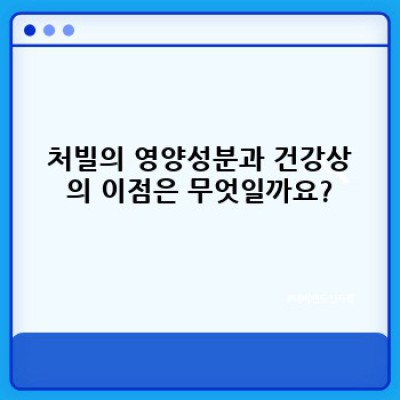 허브 처빌 활용법: 향긋한 요리 레시피와 장단점 완벽 가이드