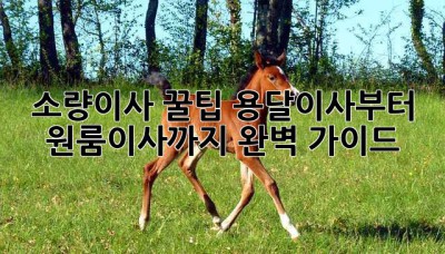 소량이사 꿀팁🍯 용달이사부터 원룸이사까지 완벽 가이드! 🚚