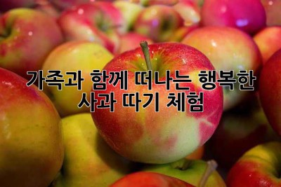 가족과 함께 떠나는 행복한 사과 따기 체험!🍎
