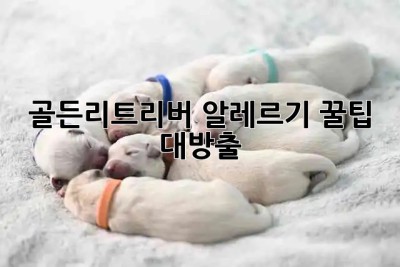 🐶 골든리트리버 알레르기? 꿀팁 대방출! 🤧